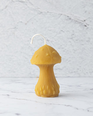 Mushroon Beeswax Candle