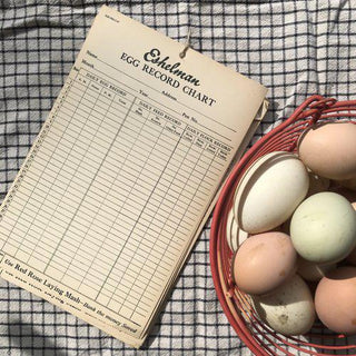 Vintage Egg Record Chart