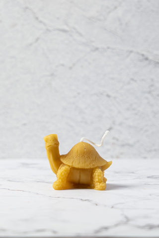 Turtle Beeswax Candle