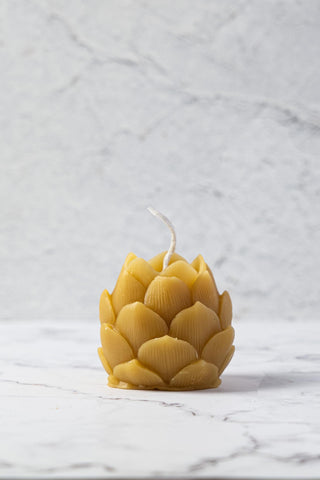 Hops Cone Beeswax Candle