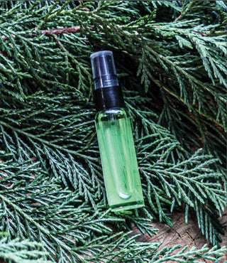 Travel Fragrance - Winter Fir