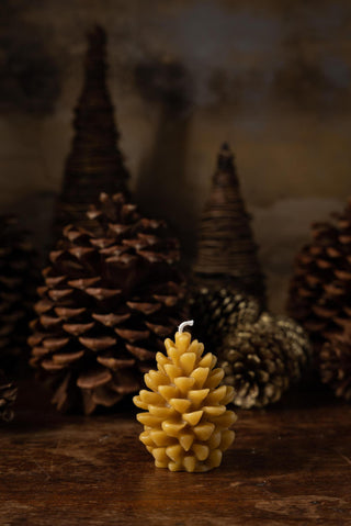 Pinecone Beeswax Candle