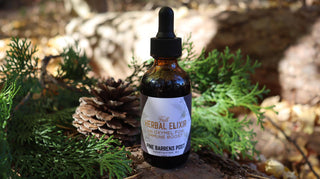 Herbal Elixir / Oxymel