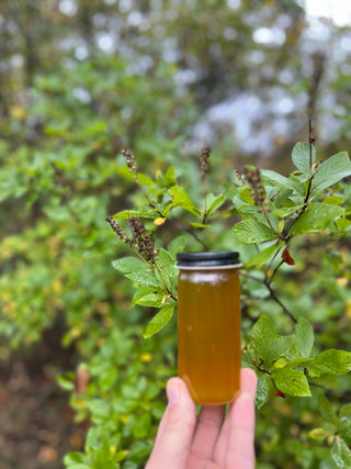 Boglight Clethra Honey