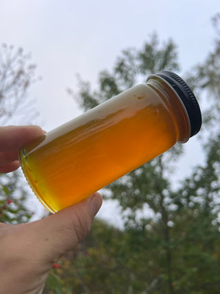 Boglight Clethra Honey