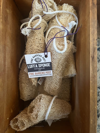 Organic Luffa Sponge